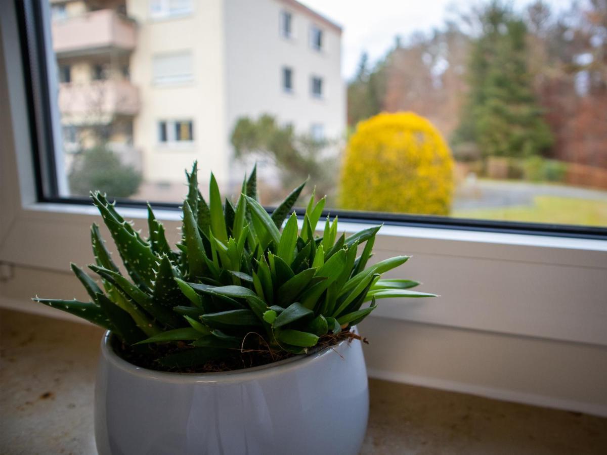 Seewaldblick - Ferienwohnung Am Bodensee FDH Екстериор снимка